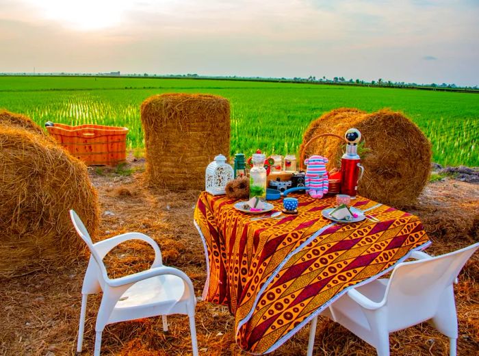 An outdoor table adorned with an array of dishes and decorations, set on a bed of hay beside bales, with a vast field stretching into the distance beyond.