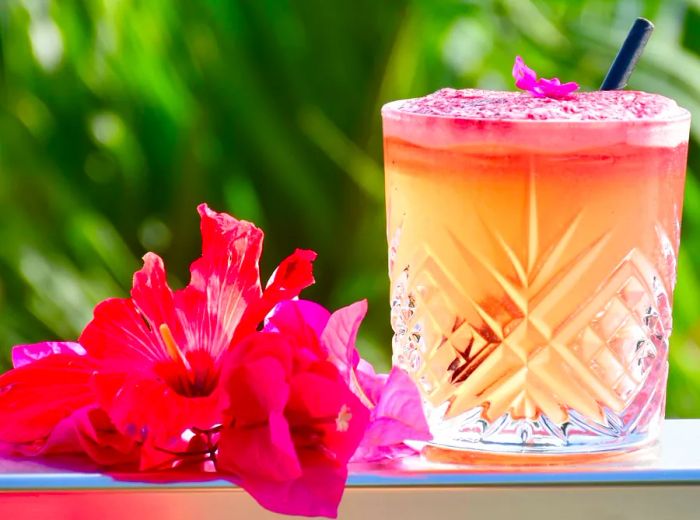 A vibrant yellow and pink ombre cocktail next to a cluster of bright pink orchids.