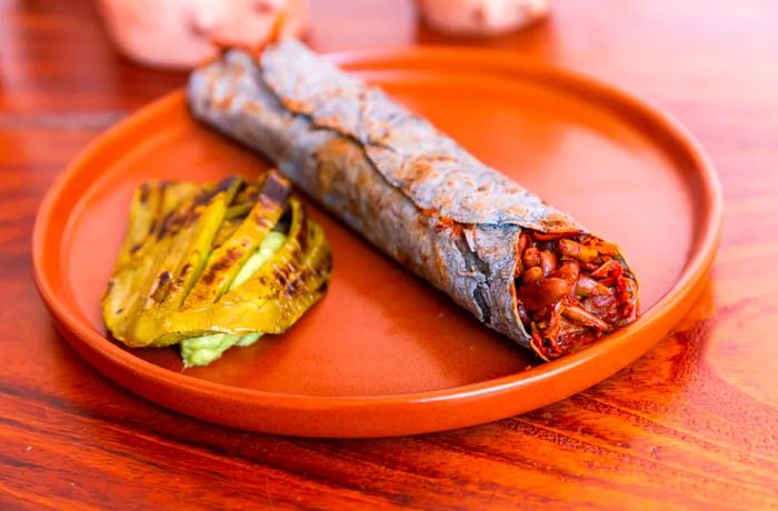 A plate showcasing a rolled bean and meat dish alongside charred cactus.