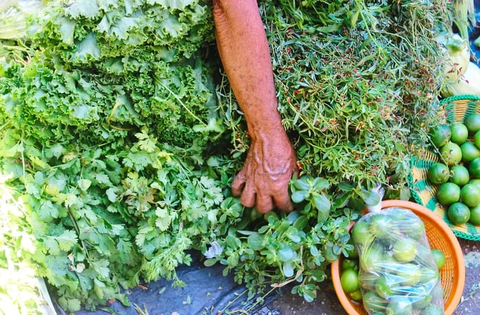 A hand dives into a heap of assorted green herbs.