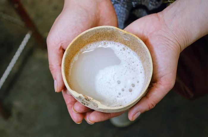 Two hands cradle a cup filled with creamy pulque.