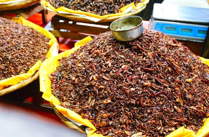 A heap of crispy fried crickets.