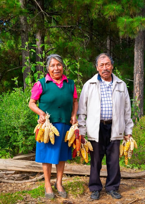 A man and woman stand side by side, each holding multiple ears of shucked corn.