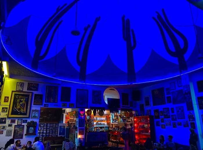 An interior view of the bar featuring dark blue lighting and cactuses adorning the curved ceiling.