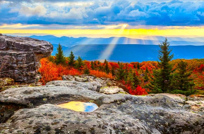 Witness the sunrise at Dolly Sods Wilderness Area in West Virginia, where autumn colors and sunlight break through dark clouds.