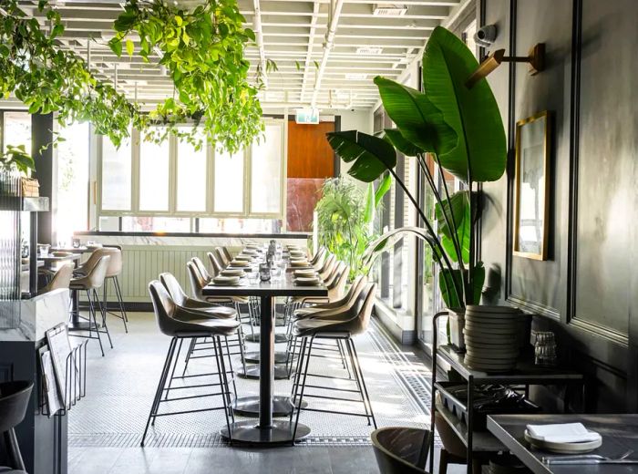 An inviting, plant-filled restaurant interior showcasing a long table adorned with schoolhouse chairs.