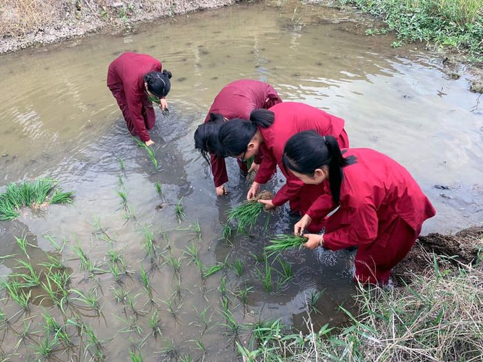 Hướng dẫn khám phá Khu du lịch Văn hóa Phương Nam Đồng Tháp 9
