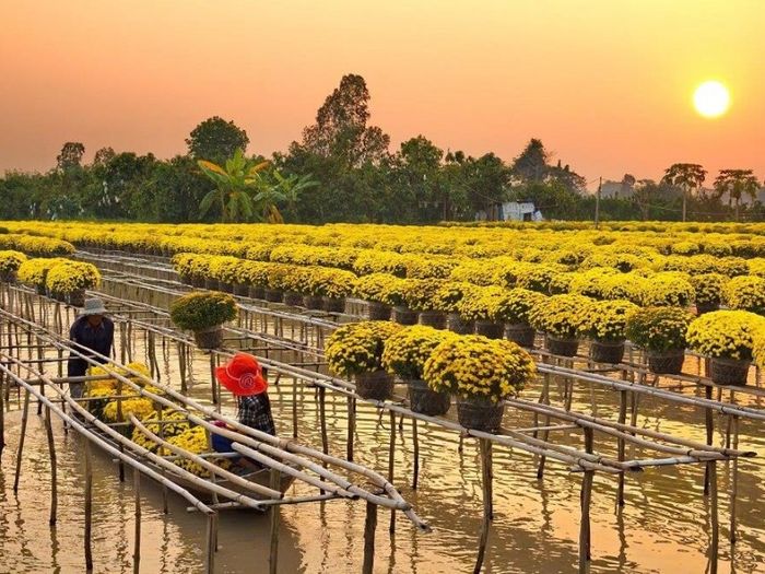 Khám phá 9 điểm du lịch nổi tiếng tại Đồng Tháp, miền Tây
