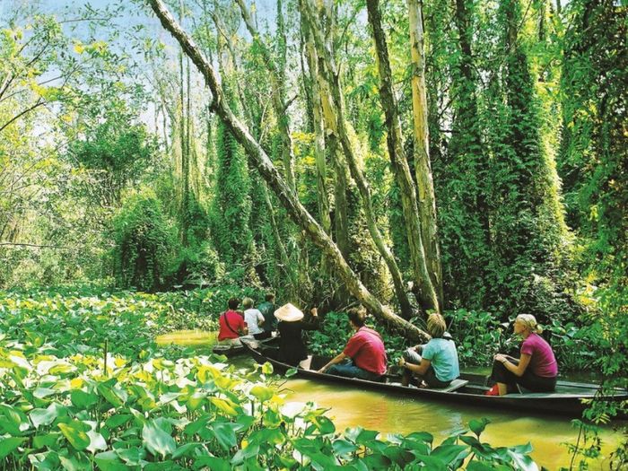 Khám phá miền Tây với 9 điểm du lịch nổi tiếng tại Đồng Tháp.