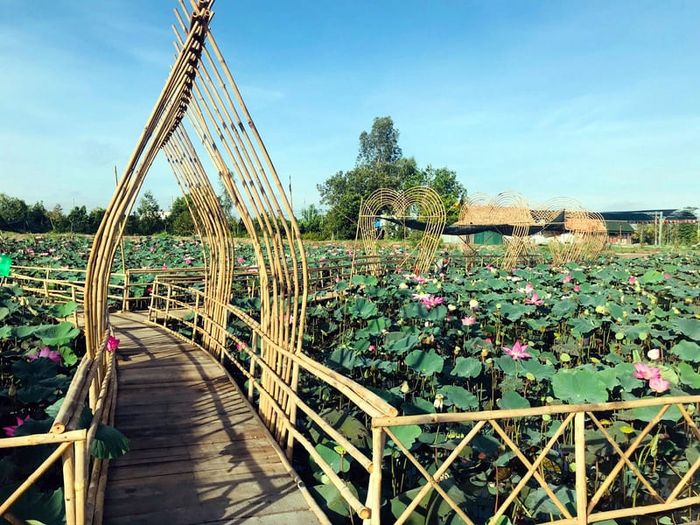 Hướng dẫn khám phá Khu du lịch Văn hóa Phương Nam Đồng Tháp 12