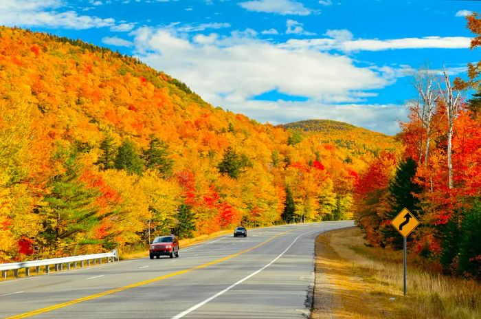 Scenic highway with autumn foliage in White Mountain, New Hampshire