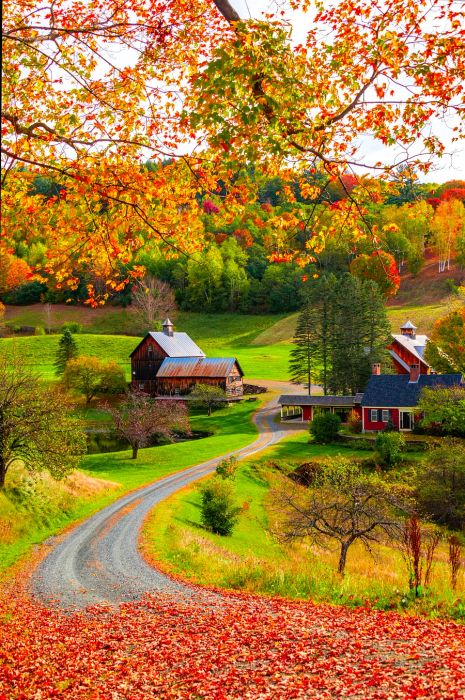 Stunning autumn colors with a farmhouse in New England, USA