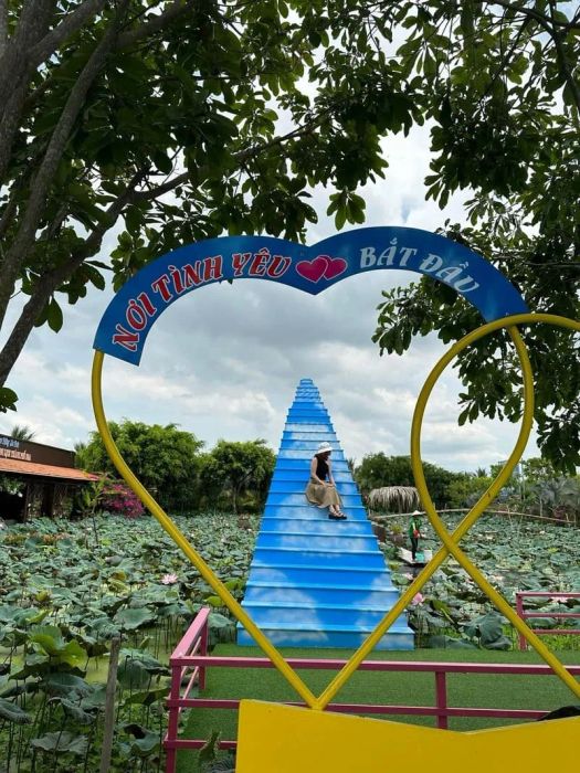 Khám phá vẻ đẹp của 6000 cây hoa tại Cánh đồng hoa hồng Sa Đéc
