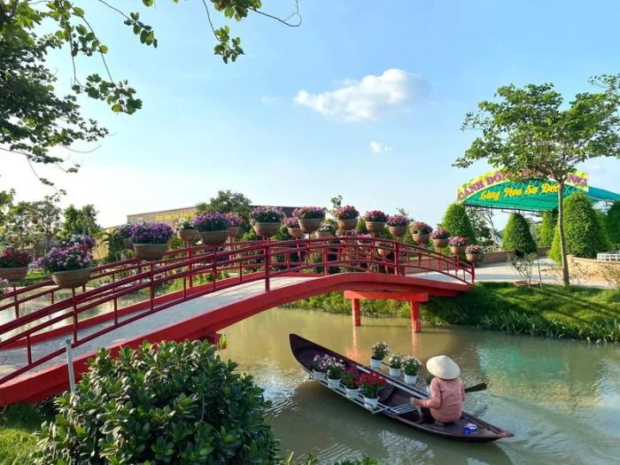 Khám phá vẻ đẹp của 6000 cây hoa tại Cánh đồng hoa hồng Sa Đéc