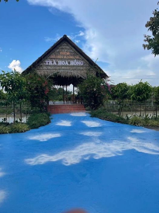 Khám phá vẻ đẹp của 6000 cây hoa tại Cánh đồng hoa hồng Sa Đéc