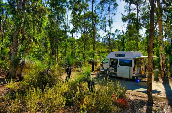 A camper van is parked at a woodland campsite with its doors open, tables set up, and people seated nearby.