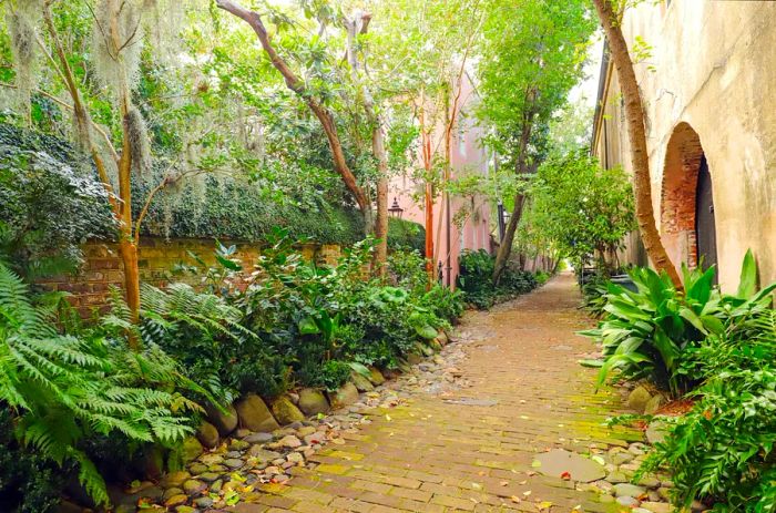 A lush alleyway in Charleston, lined with colorful buildings and a charming brick path.