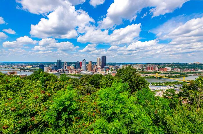 A picturesque view of lush summer trees with Downtown Pittsburgh's skyline in the background, captured from Emerald View Park.