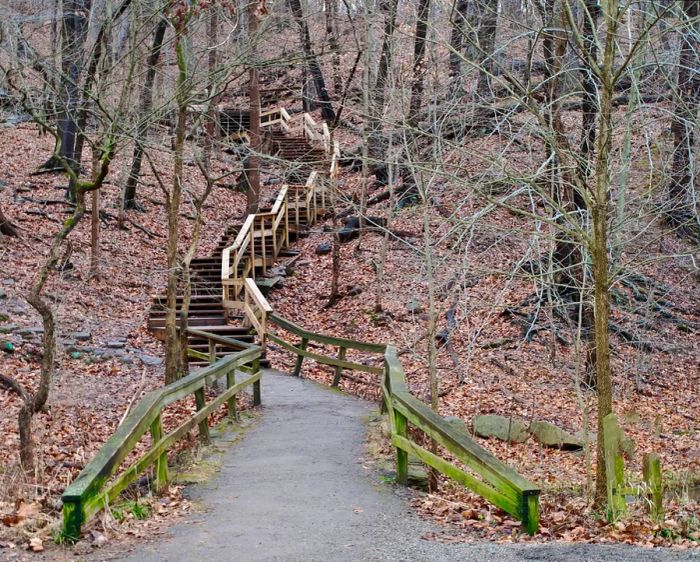 A winter path lined with bare trees, leading to wooden steps that rise through the woods in Frick Park, Pittsburgh, Pennsylvania, USA.