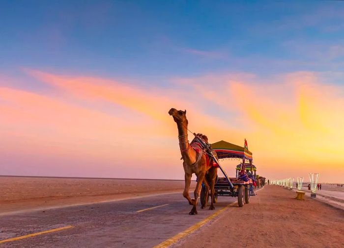 A camel pulls a cart along a road in a desert setting