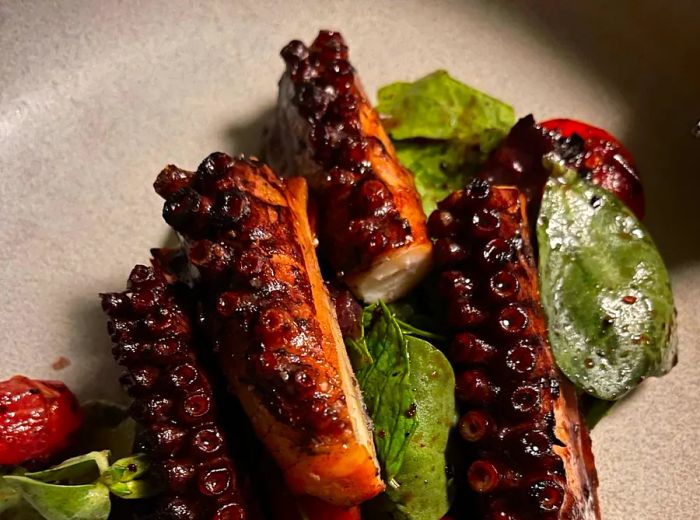 Grilled octopus slices served atop a fresh green salad.