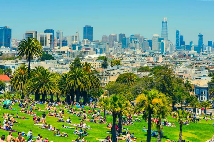 A palm tree-lined hillside park descends toward a skyline of skyscrapers