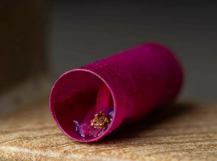 A molecular gastronomy dish featuring a slender purple tube filled with a tongue-shaped filling.