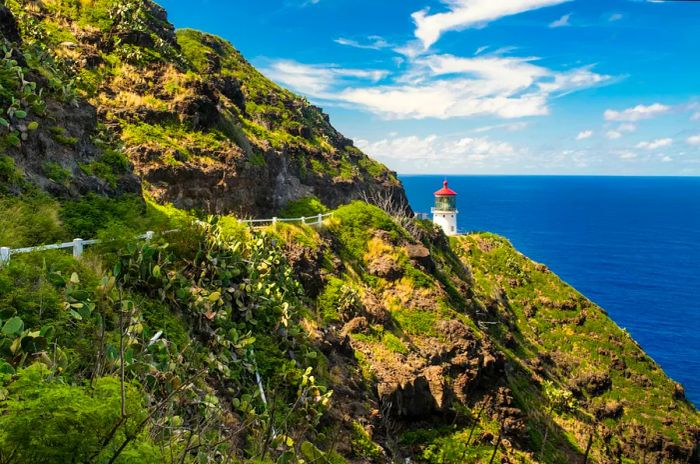 A narrow cliffside path winds along a steep hillside, leading to a lighthouse with the blue ocean in the background.