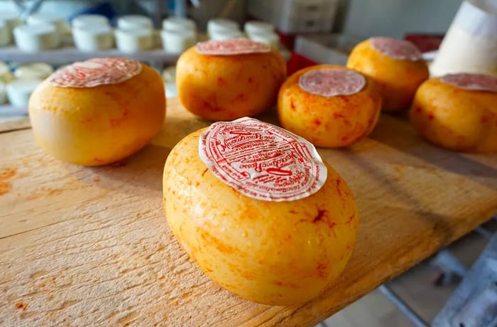 A tightly wrapped ball of cheese, labeled, sits on a board alongside other small cheese wheels.