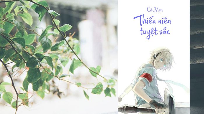 Thiếu Niên Tuyệt Sắc