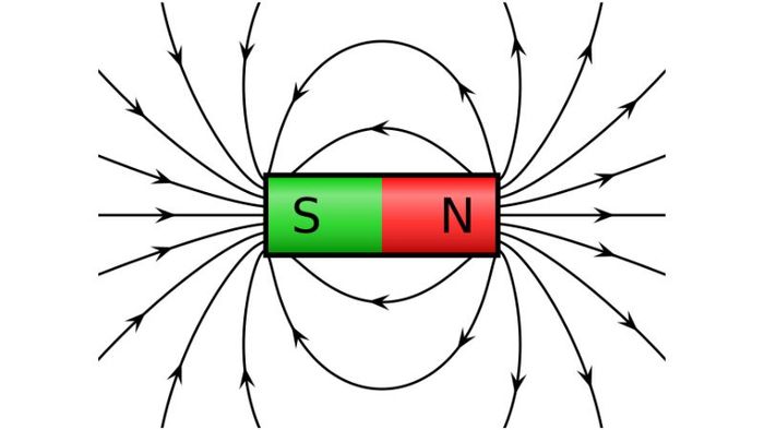 tu-truong-la-gi-1