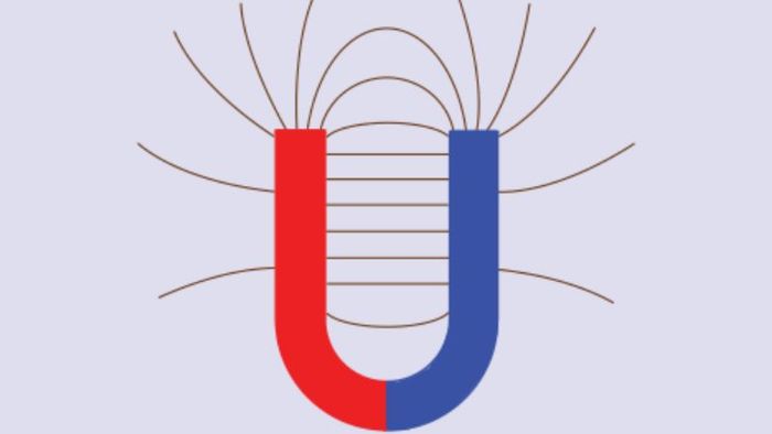 tu-truong-la-gi-4