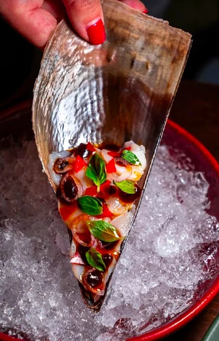 An assortment of seafood elegantly arranged in a shell over a bed of ice.