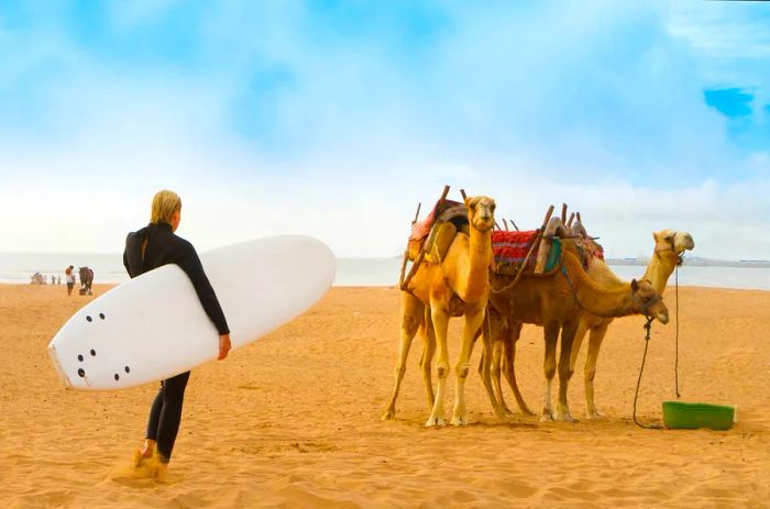 A woman with a surfboard stands on the beach with camels in the background in Essaouira, Morocco