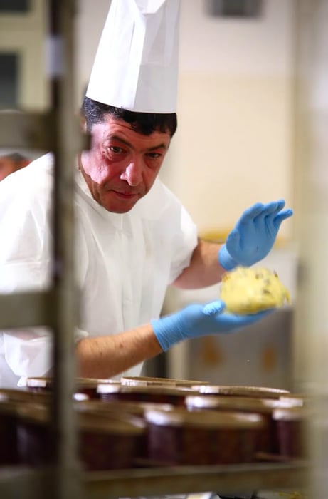 A gloved hand cradles a ball of panettone dough.