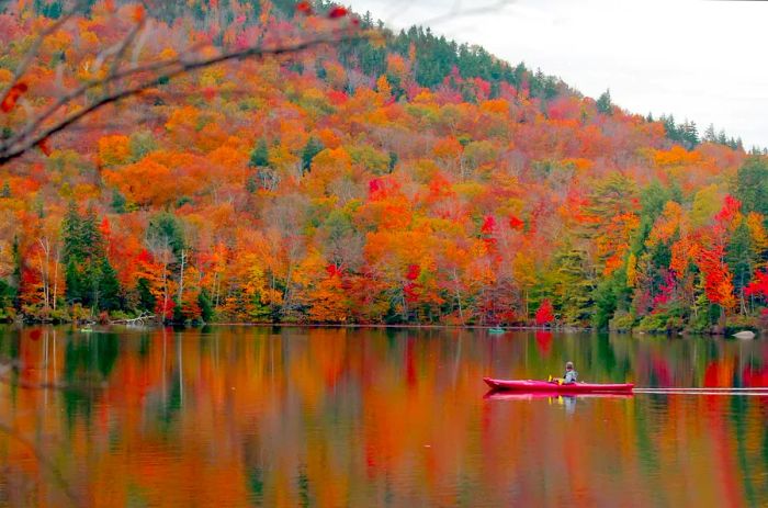 New England is famous for its vibrant fall colors, and New Hampshire may just be the standout.