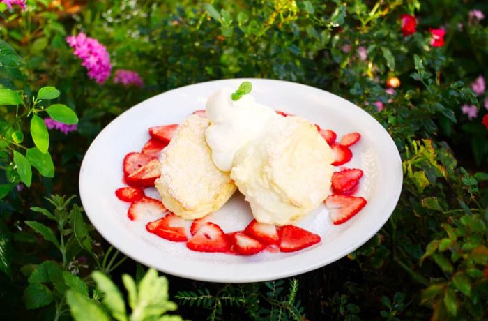 A plate of thick, fluffy pancakes adorned with sliced strawberries and topped with whipped cream and a sprig of mint, set among blooming flower bushes.