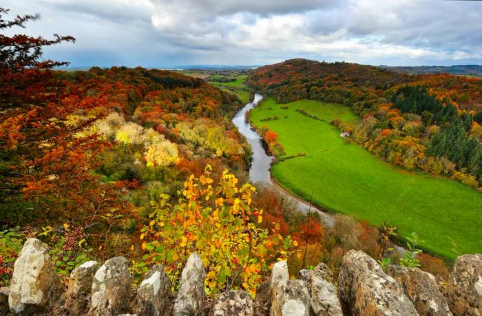 A glimpse of the River Wye flowing through the Forest of Dean, England