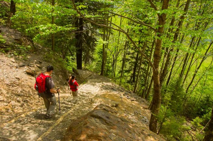 Two hikers navigate down the stairs on a steep section of the Alum Cave Trail in Great Smoky Mountains National Park.