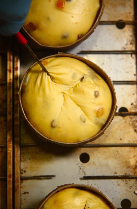 A baker in gloves skillfully uses a sharp tool to score the surface of a panettone dough.