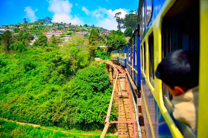 The Nilgiris Mountain Railway, which operates on the hillside, is a UNESCO World Heritage site and offers scenic journeys to Ooty (Ootacamund or Udagamandalam), a renowned hill station in Tamil Nadu, India.