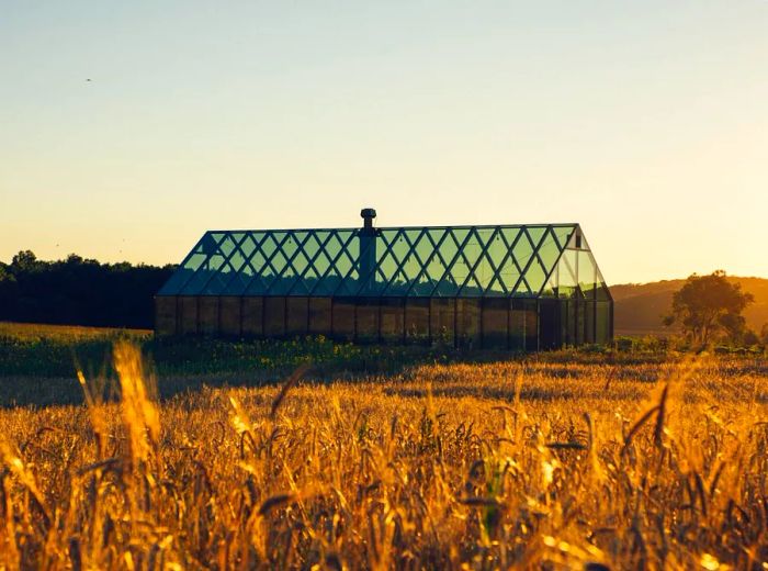 A greenhouse situated in a field during the late afternoon light.