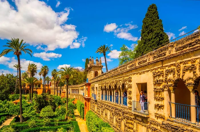 Visitors stand on a large elevated walkway that provides a stunning view of a garden adorned with tall palm trees.