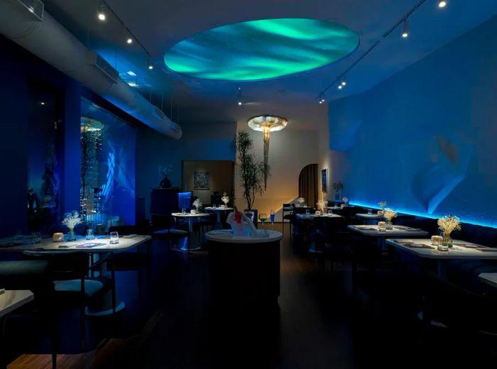 The interior features a moody blue palette adorned with constellation-like light fixtures and a striking stalactite-inspired installation above the staircase.