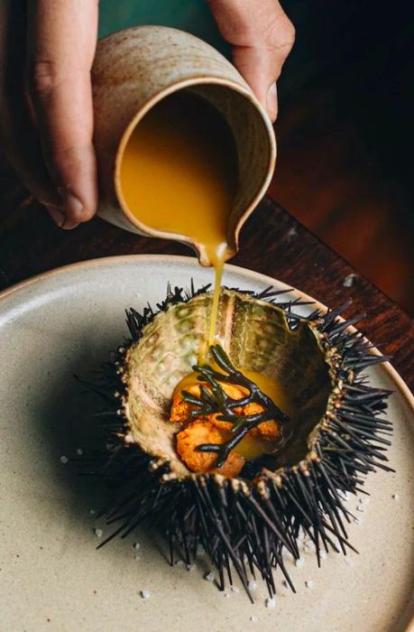 A chef delicately drizzles sauce into a dish arranged within an urchin shell.