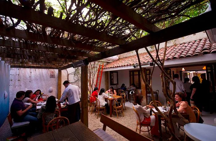 Diners enjoy their meals in an outdoor seating area, sheltered by a canopy of branches that flows seamlessly into the open dining room.