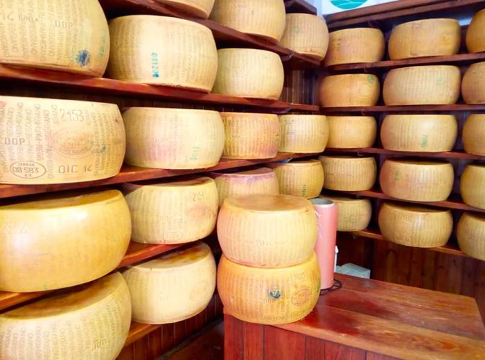 A display of cheese wheels elegantly arranged on wooden shelves.