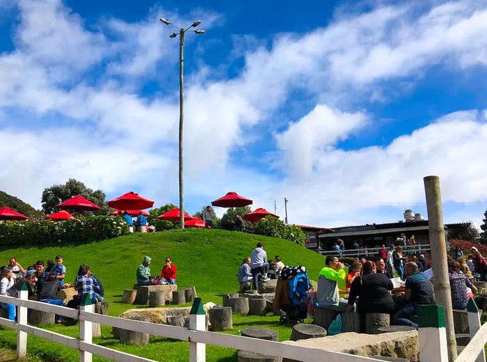 Diners enjoying their meals on a lush hill under a clear blue sky.