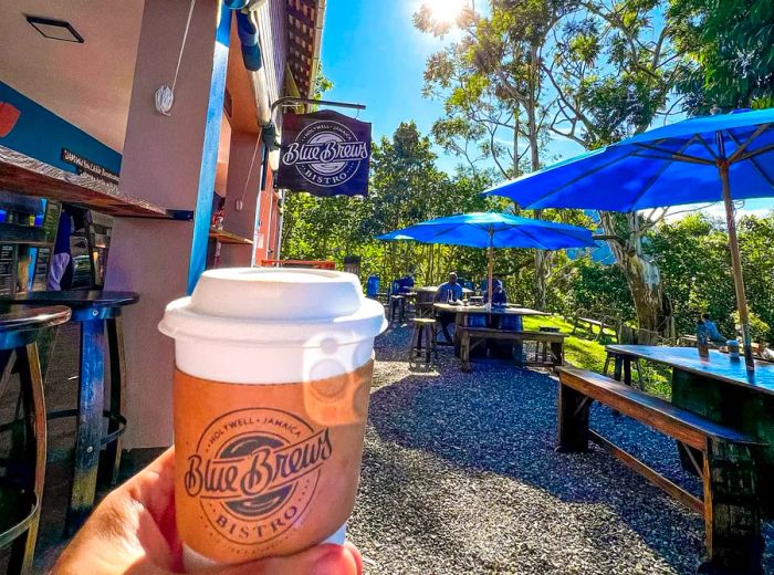 A hand lifts a to-go cup of coffee in front of the Blue Brews sign on a sunny day, surrounded by lush greenery.