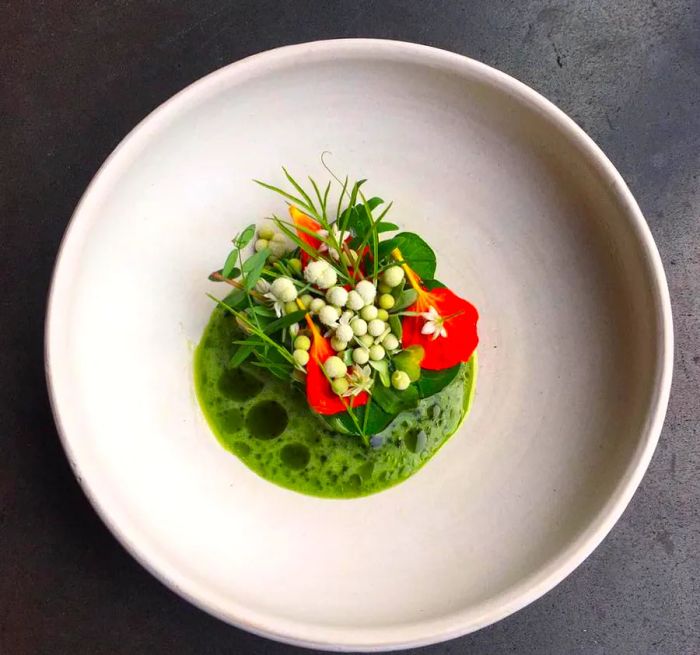 From a bird's-eye view, it appears to be a cluster of wildflowers and leaves resting on a small pool of broth in a ceramic dish.